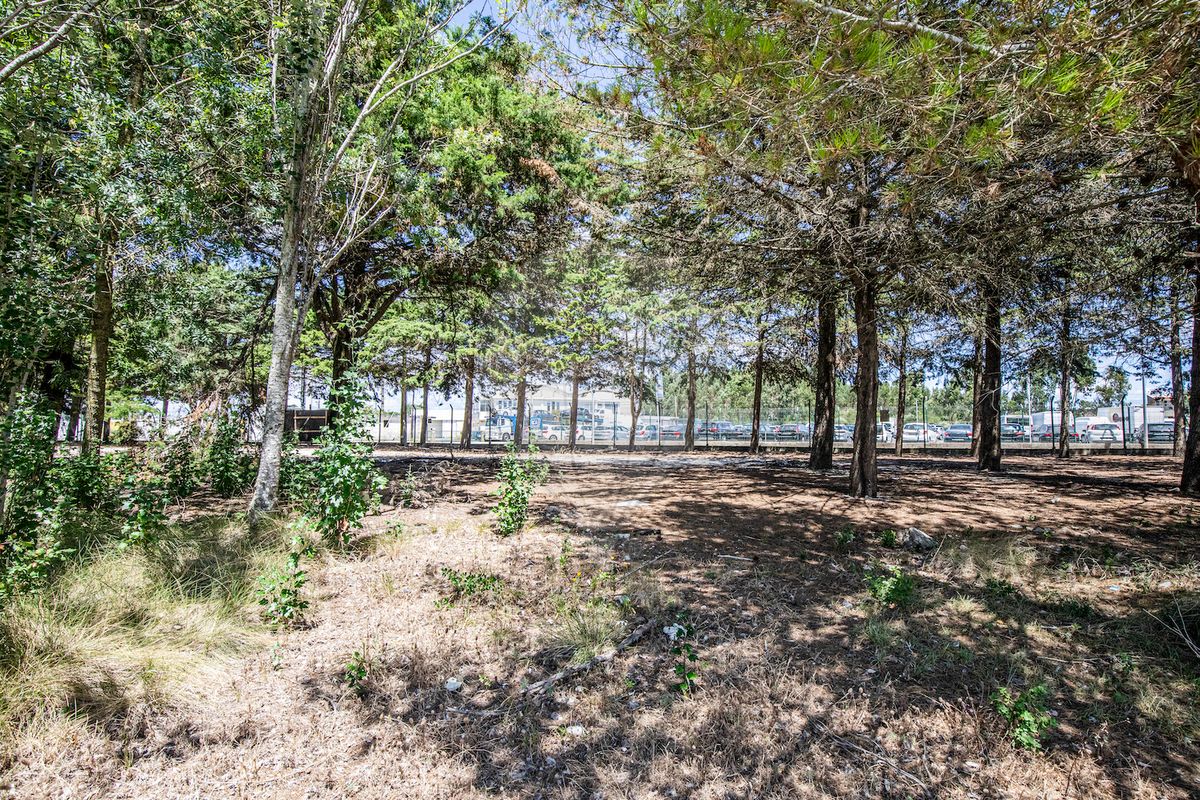 listing 121011131-708 picture-0