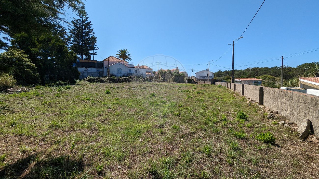 listing-picture-0