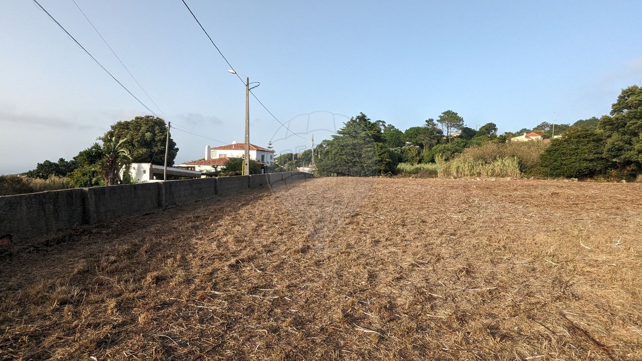 listing-picture-0