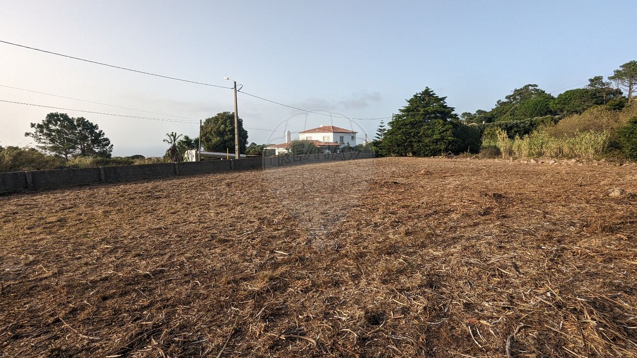 listing-picture-0