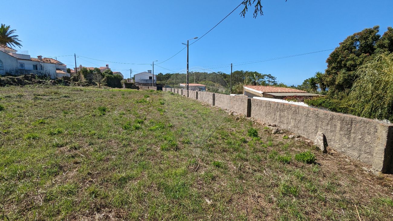 listing-picture-0