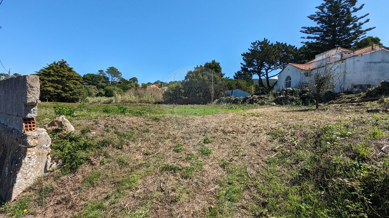 listing-picture-0