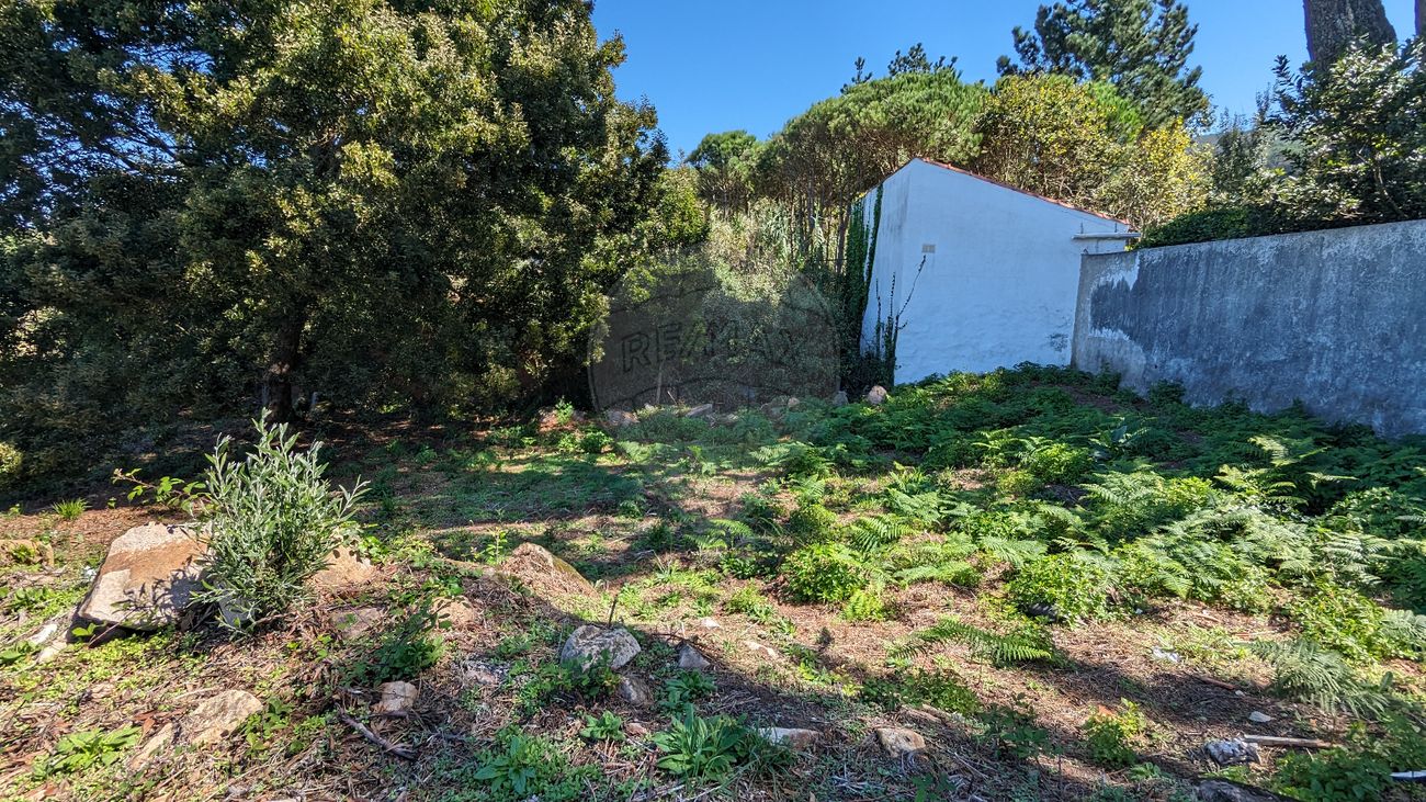 listing-picture-0