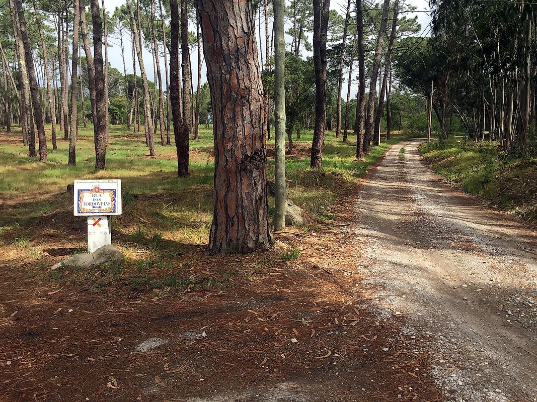 Terreno  à venda em Sintra
