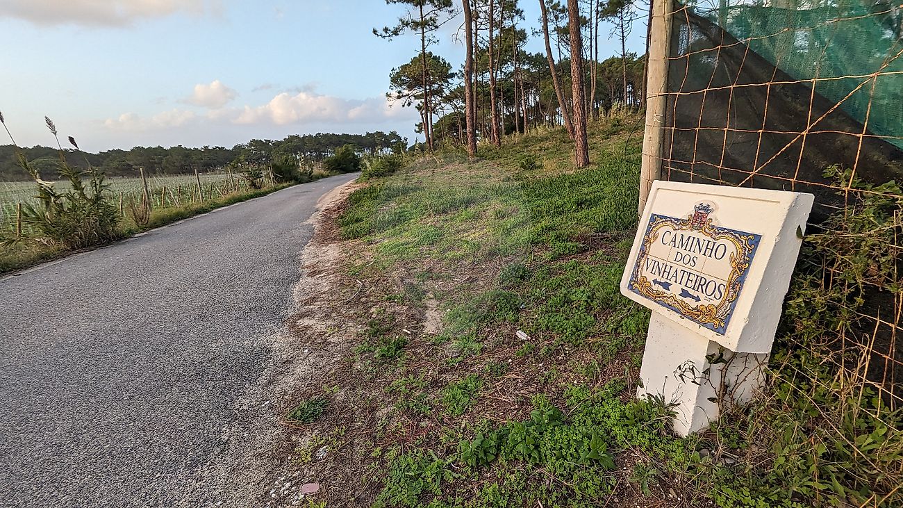 Terreno  à venda em Sintra