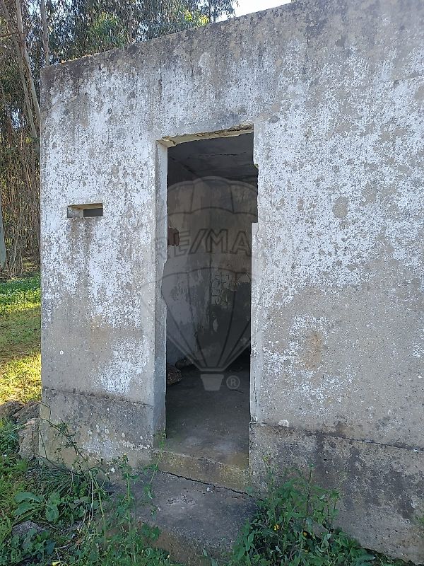 listing-picture-0