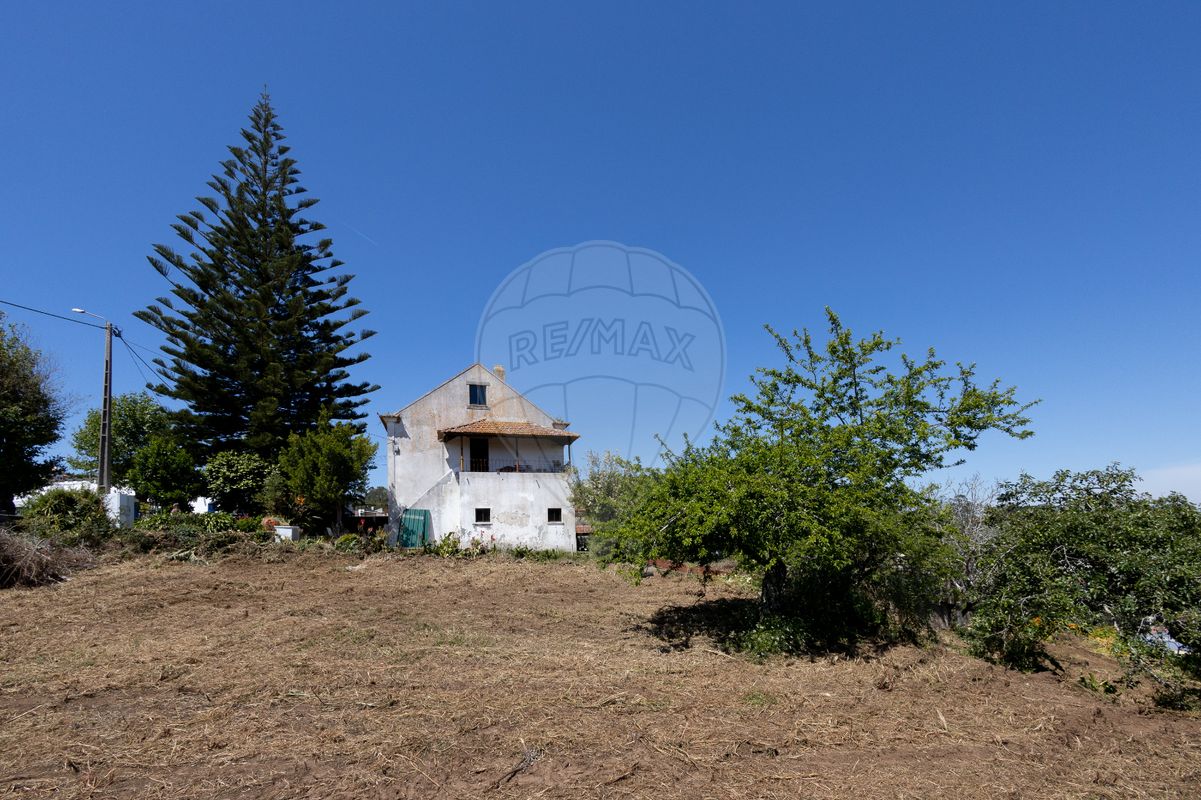 listing-picture-0