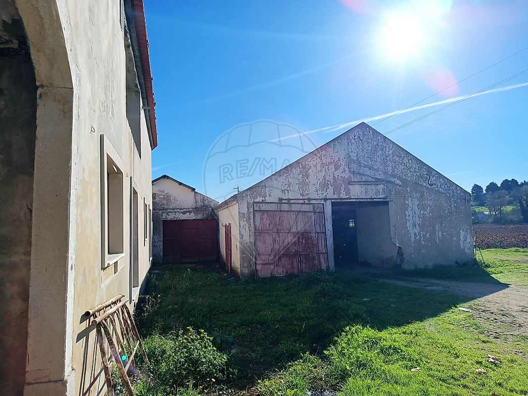 listing-picture-0