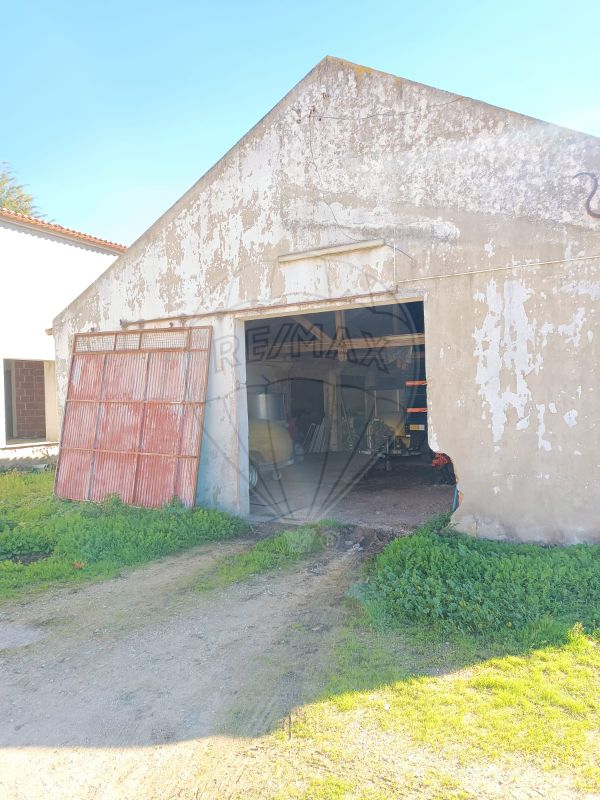 listing-picture-0