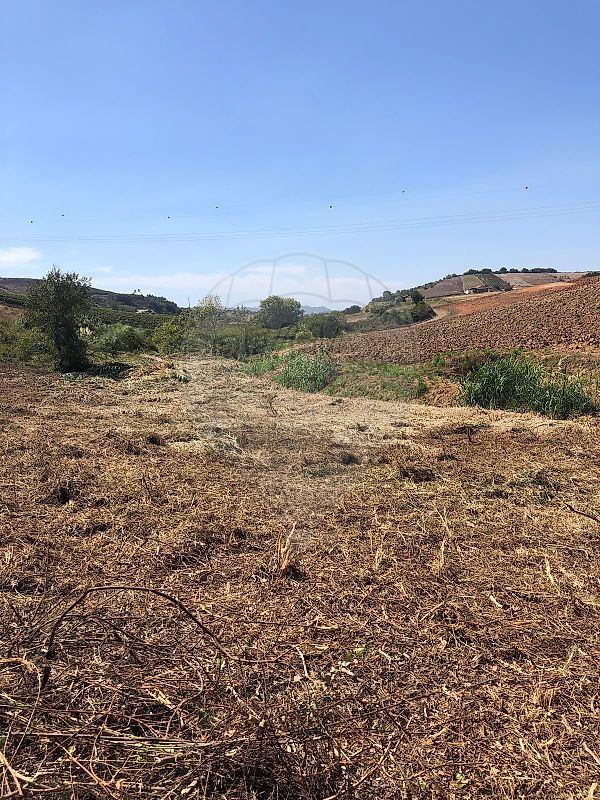 Terreno  à venda em Mafra