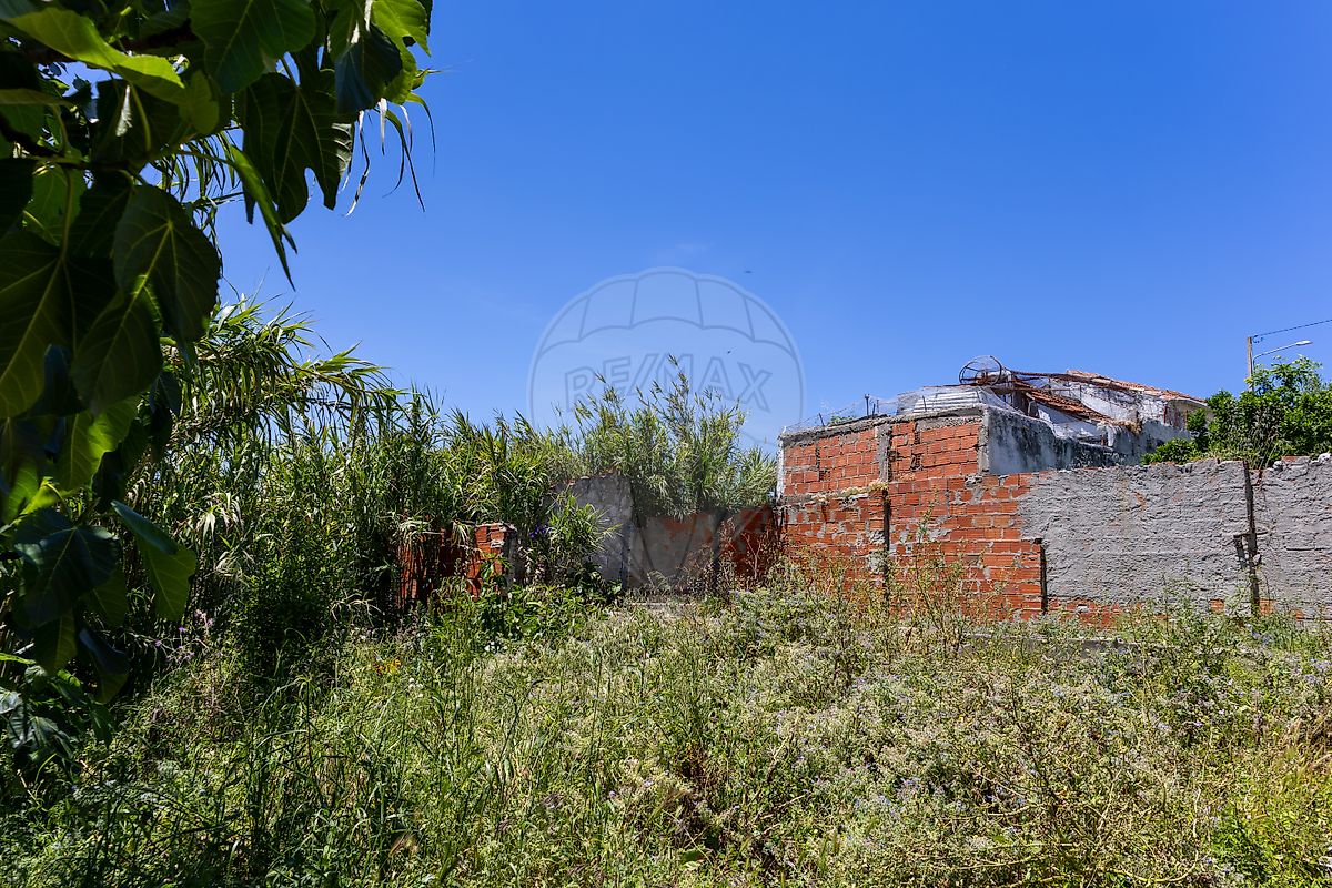 listing 121011501-15 picture-0