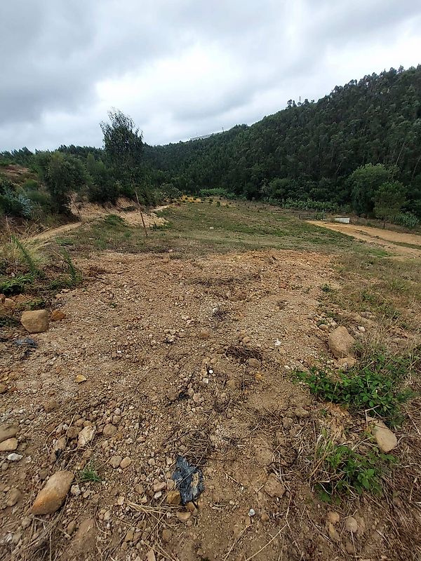 Terreno  à venda em Mafra