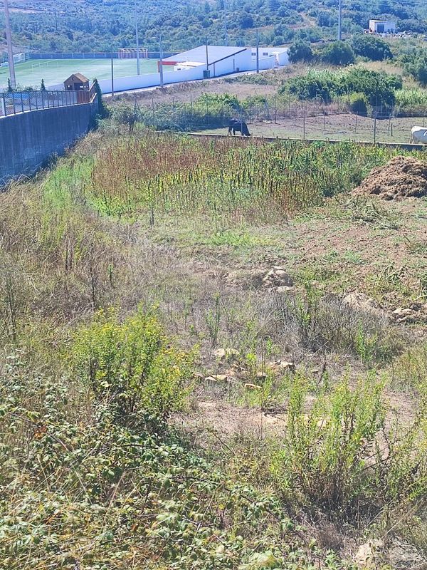 Terreno  para venda