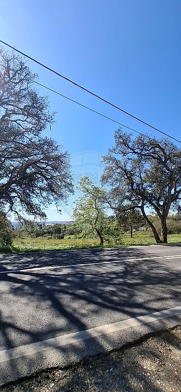 Terreno à venda em Mafra