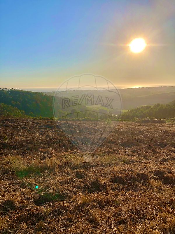 Terreno à venda em Mafra