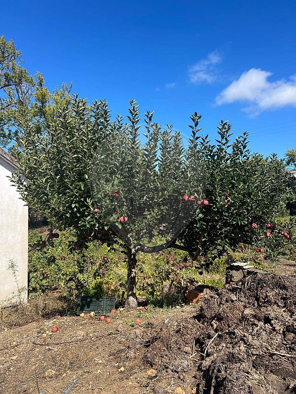 Apartamento à venda em Mafra