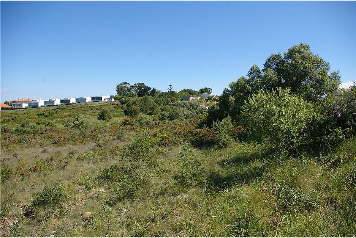 listing 121021171-19 picture-0