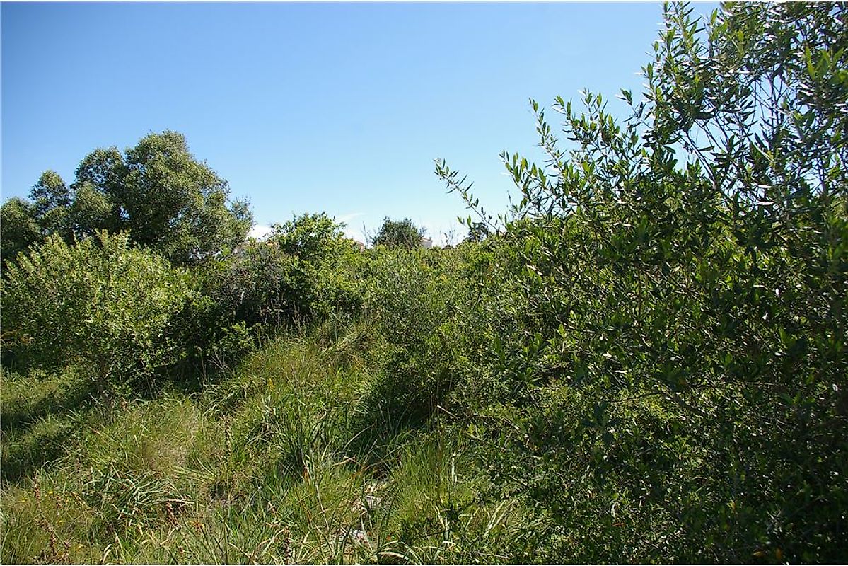 listing 121021171-19 picture-0