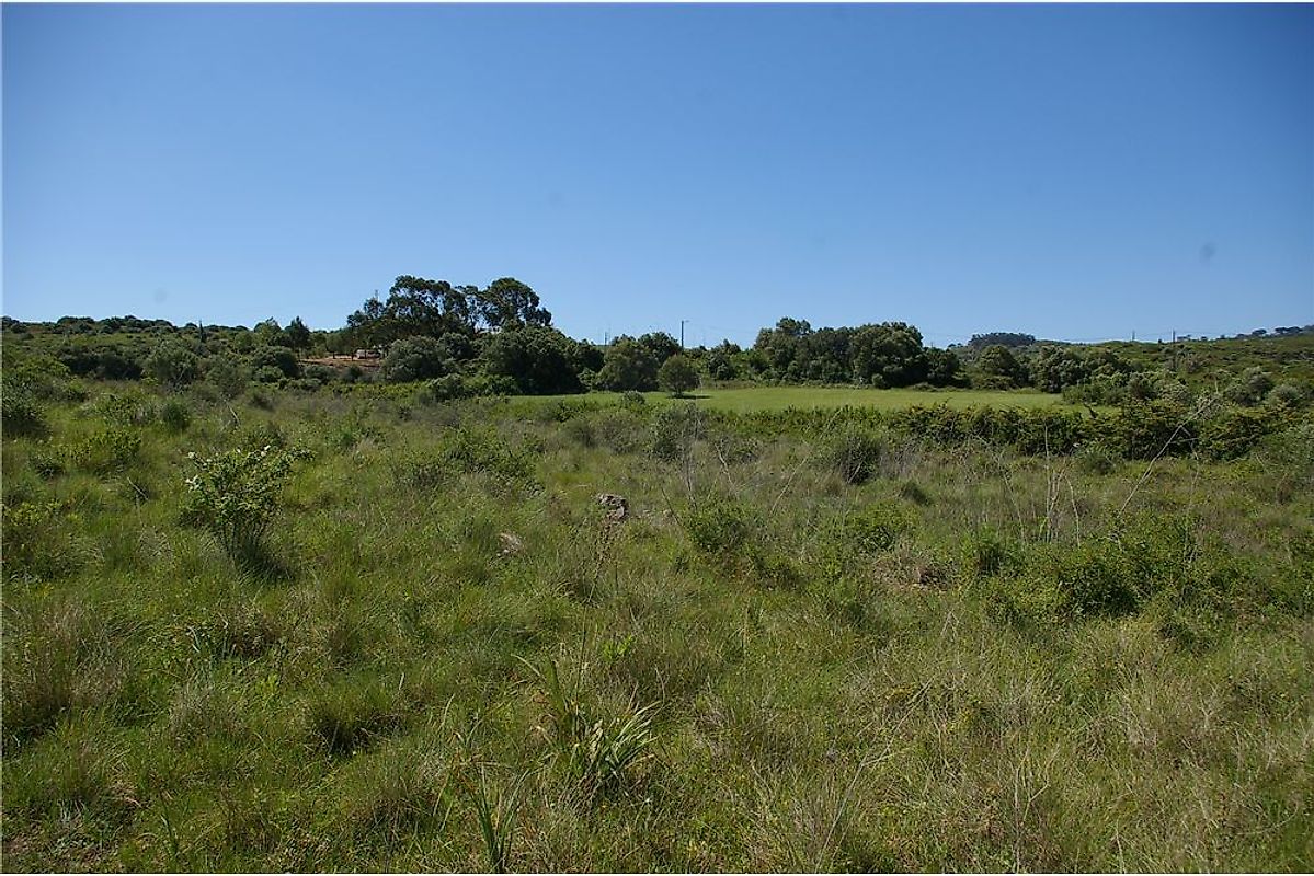 listing 121021171-19 picture-0