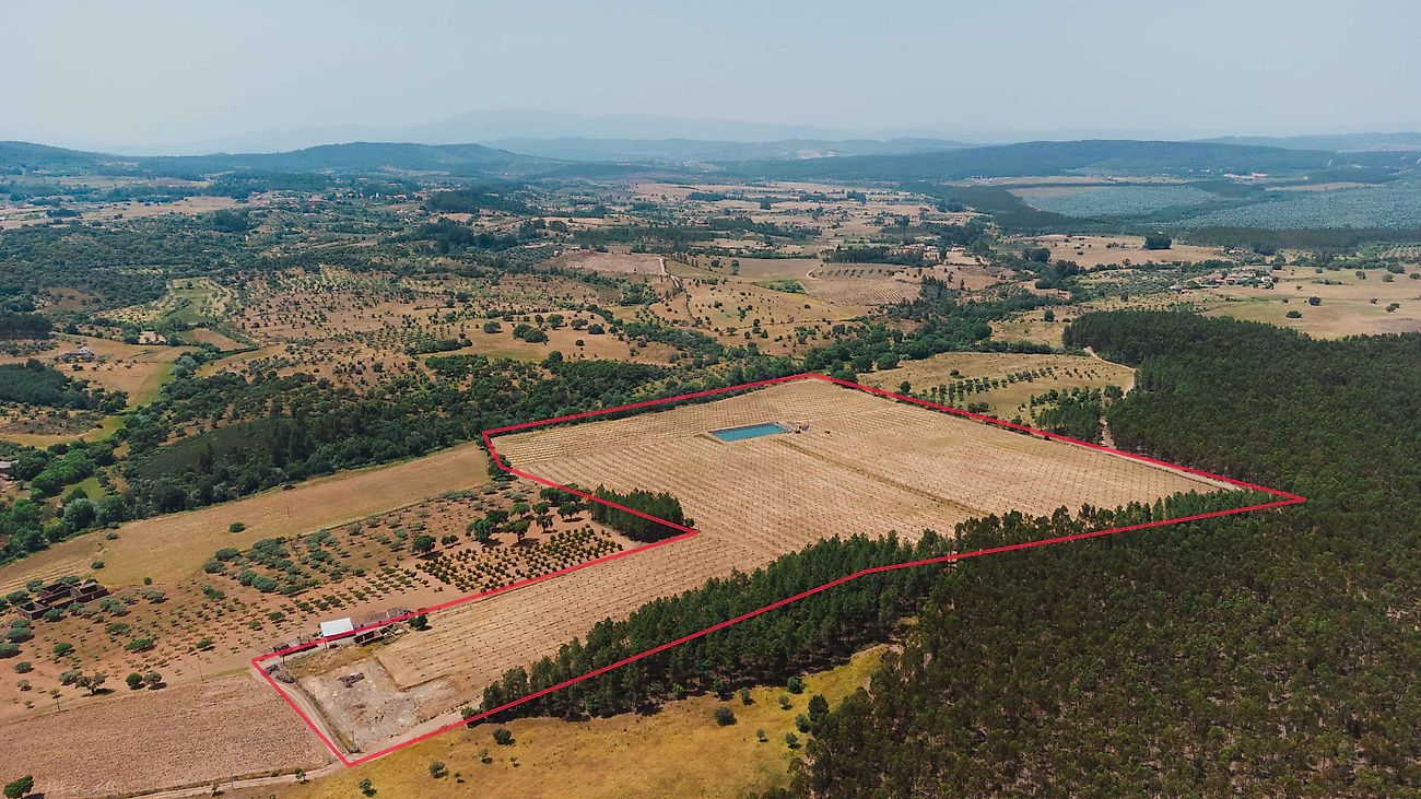 Terreno em Penamacor