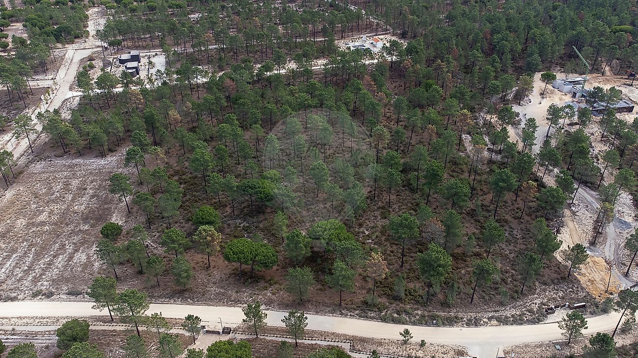 Terreno para venda