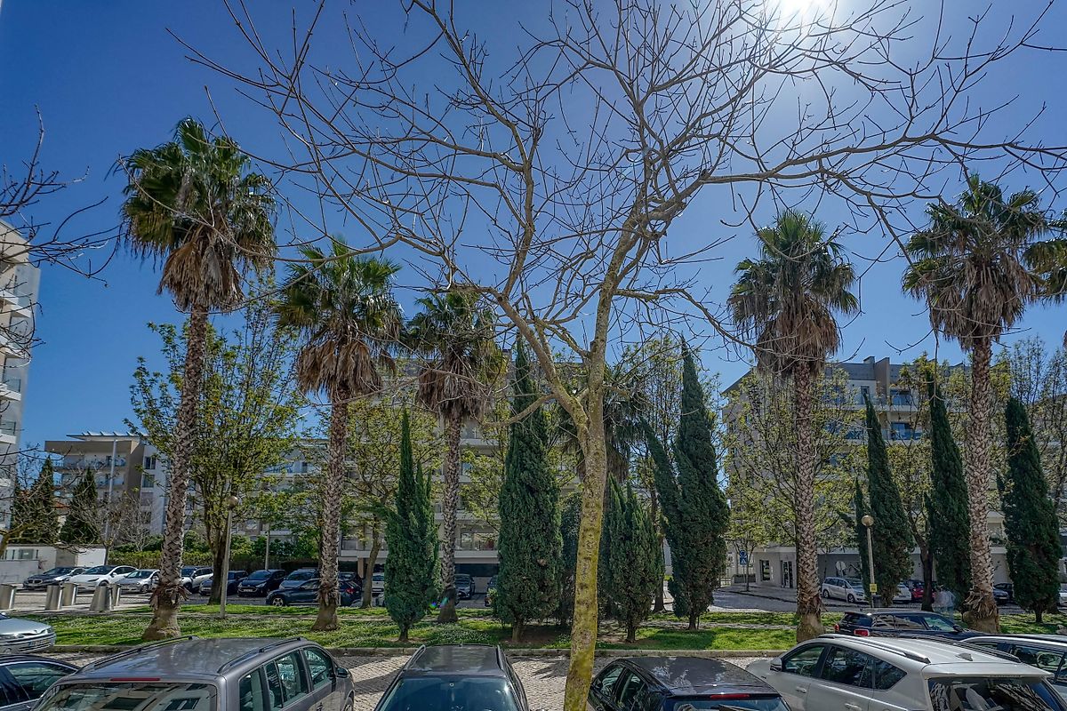 Apartamento T3 à venda em Carcavelos e Parede, Cascais — foto 22