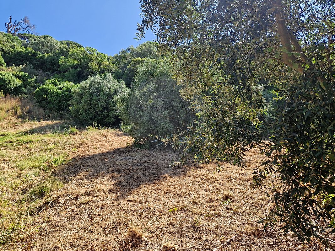 Terreno para venda