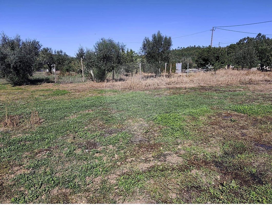 Moradia T5 à venda em Beco, Ferreira do Zêzere — foto 32