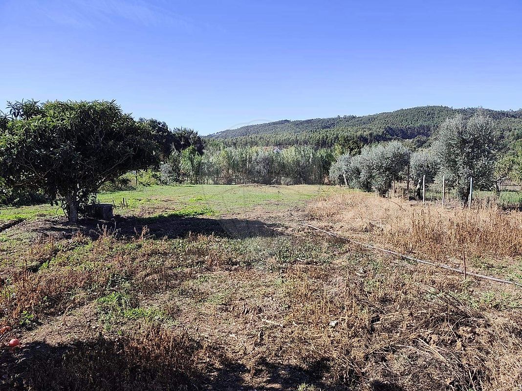 Moradia T5 à venda em Beco, Ferreira do Zêzere — foto 34