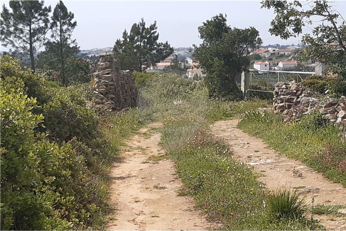listing-picture-0