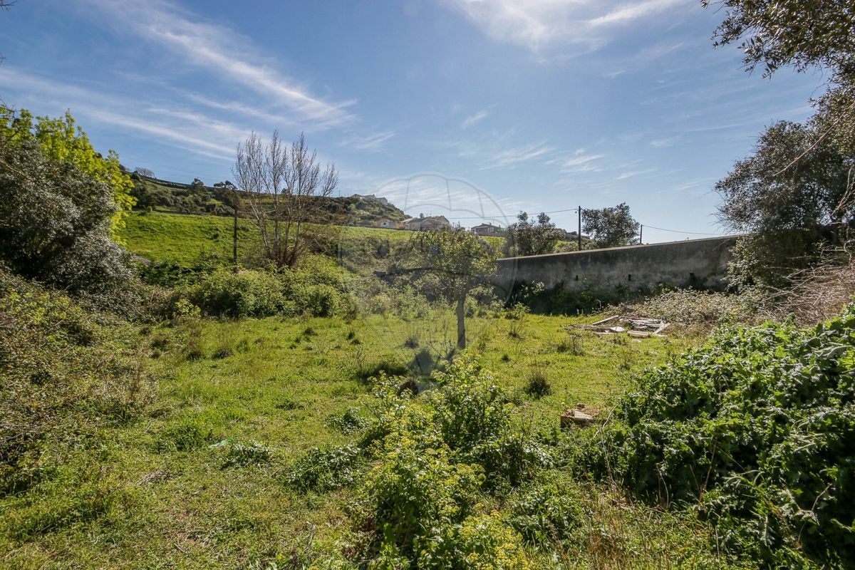 listing-picture-0