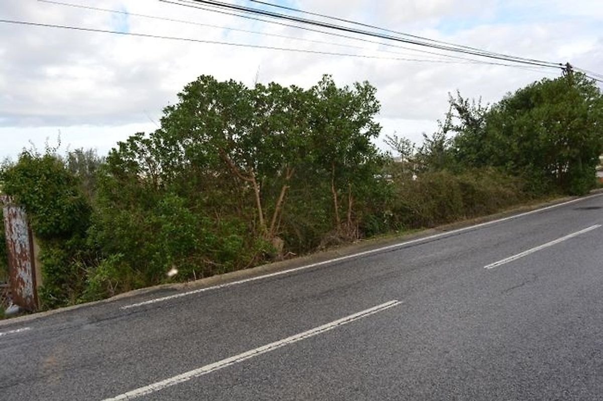 Terreno  à venda em Cortegaça