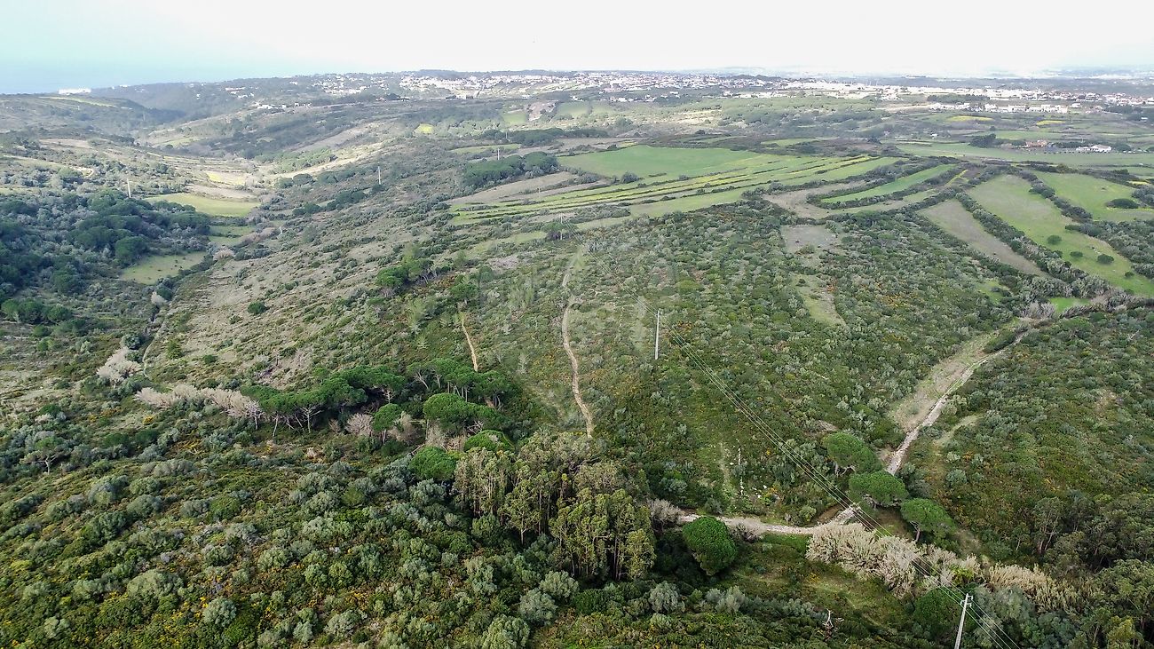 Terreno à venda em Sintra