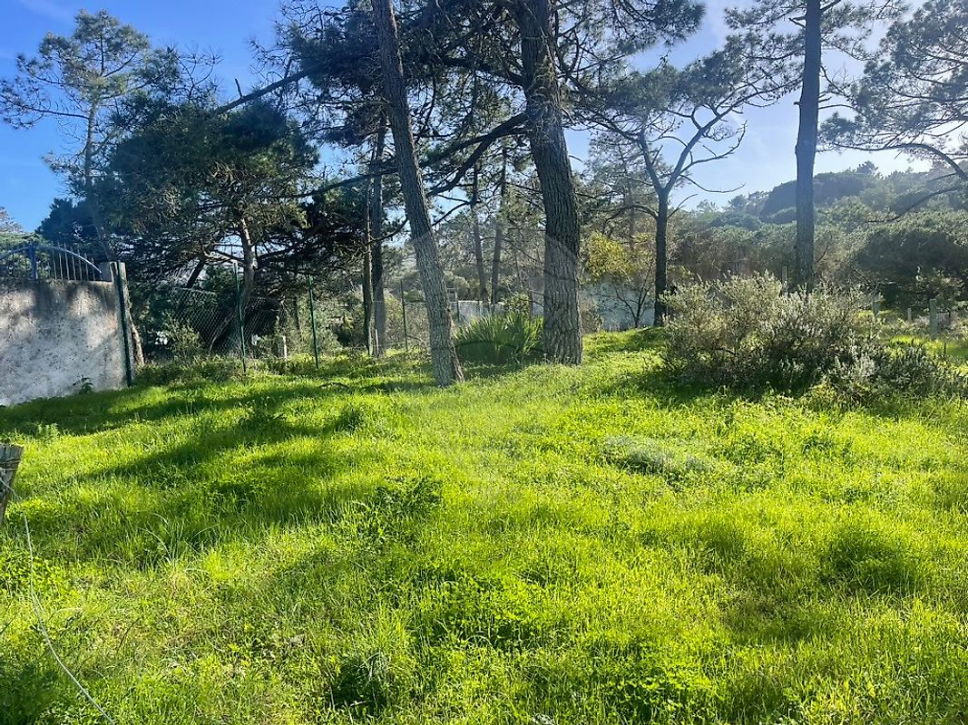 Moradia T1 à venda em Colares, Sintra — foto 12