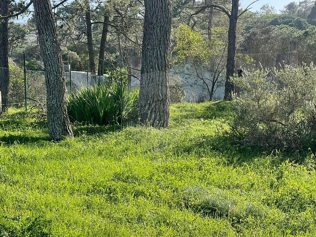 Moradia T1 à venda em Colares, Sintra — foto 15