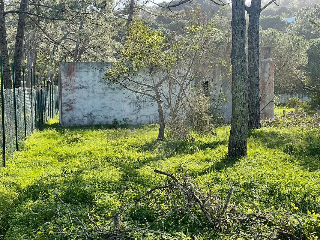 Moradia T1 à venda em Colares, Sintra — foto 13