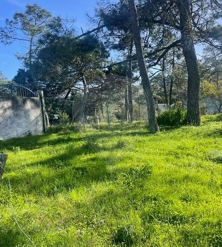 Moradia T1 à venda em Colares, Sintra — foto 20