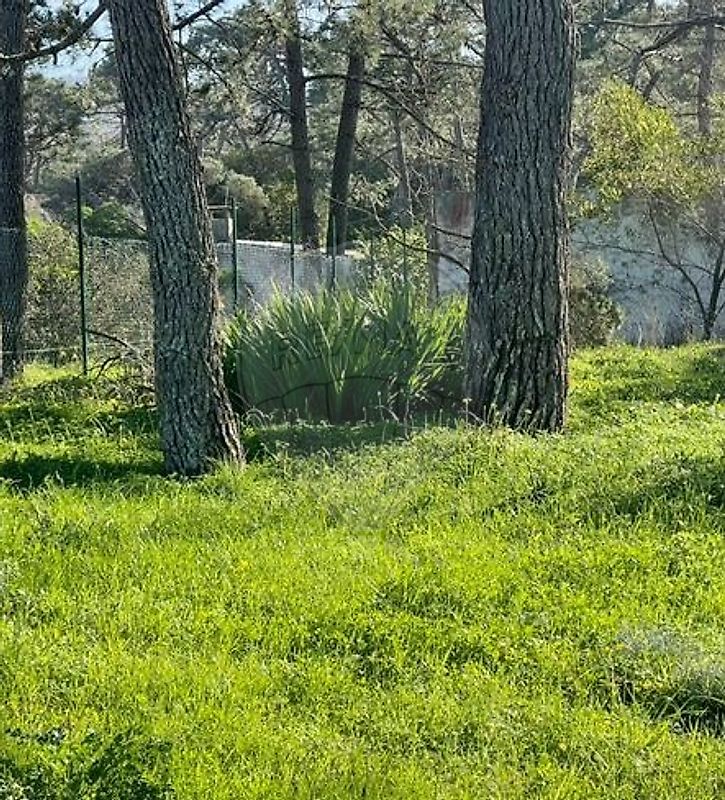 Moradia T1 à venda em Colares, Sintra — foto 19