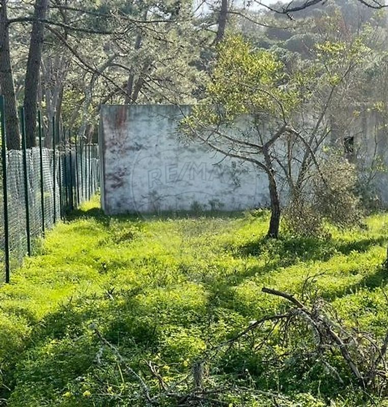 Moradia T1 à venda em Colares, Sintra — foto 16