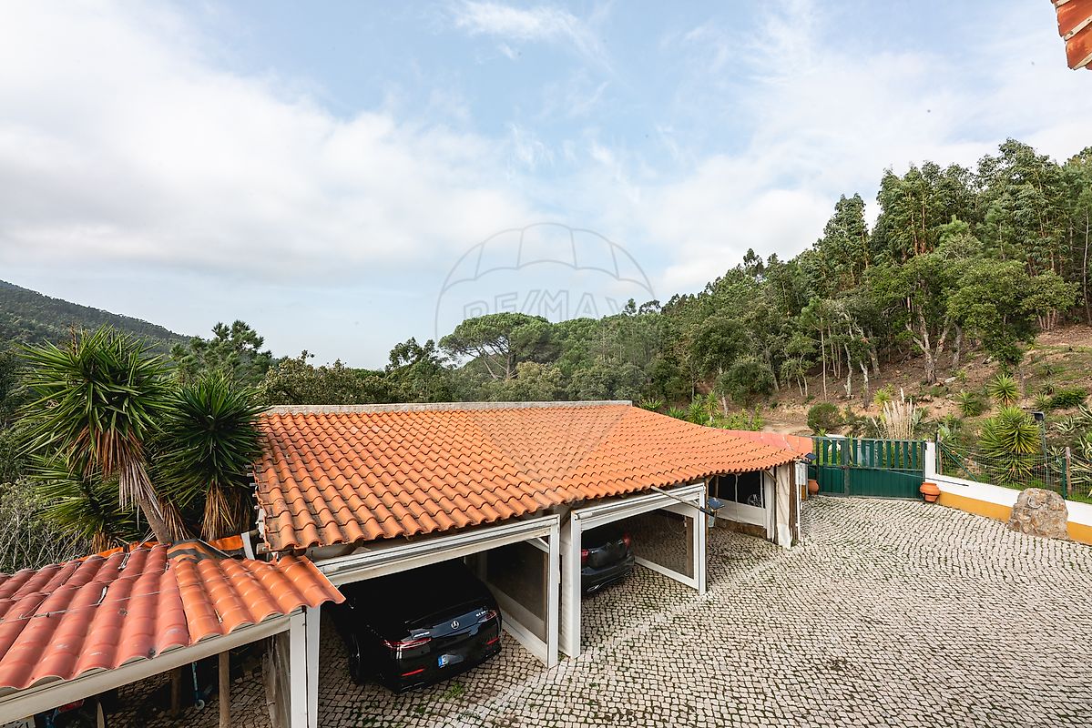 listing-picture-0