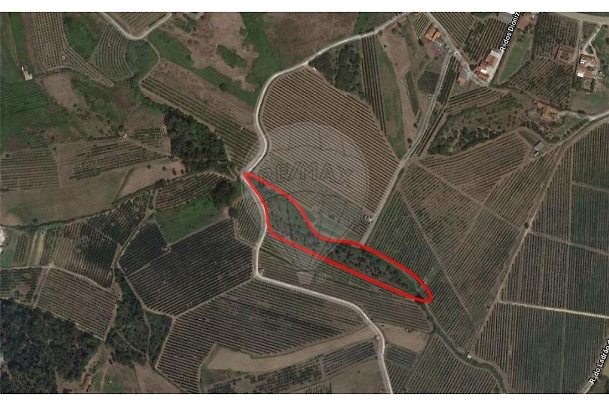 Terreno à venda em Alcobaça