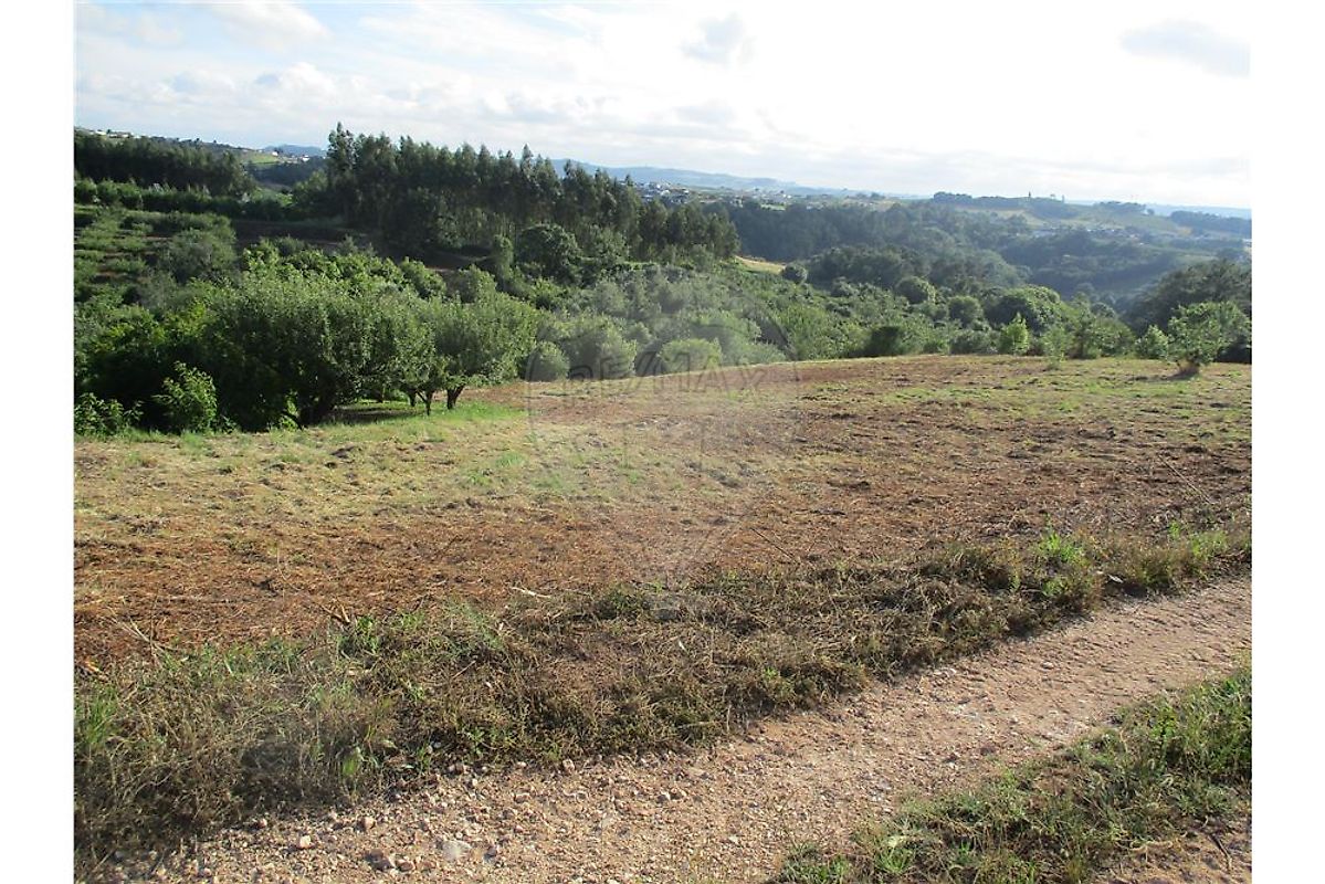 Terreno à venda em Alcobaça