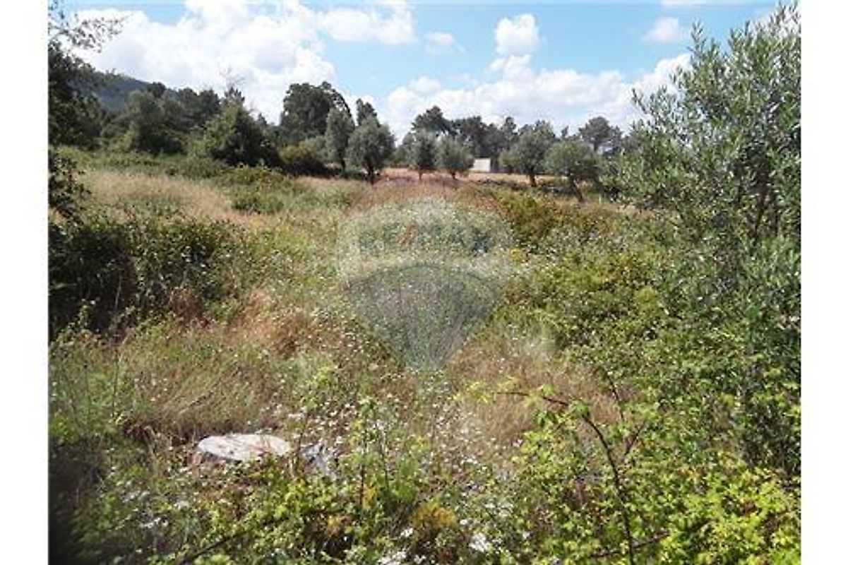 Terreno à venda em Alcobaça