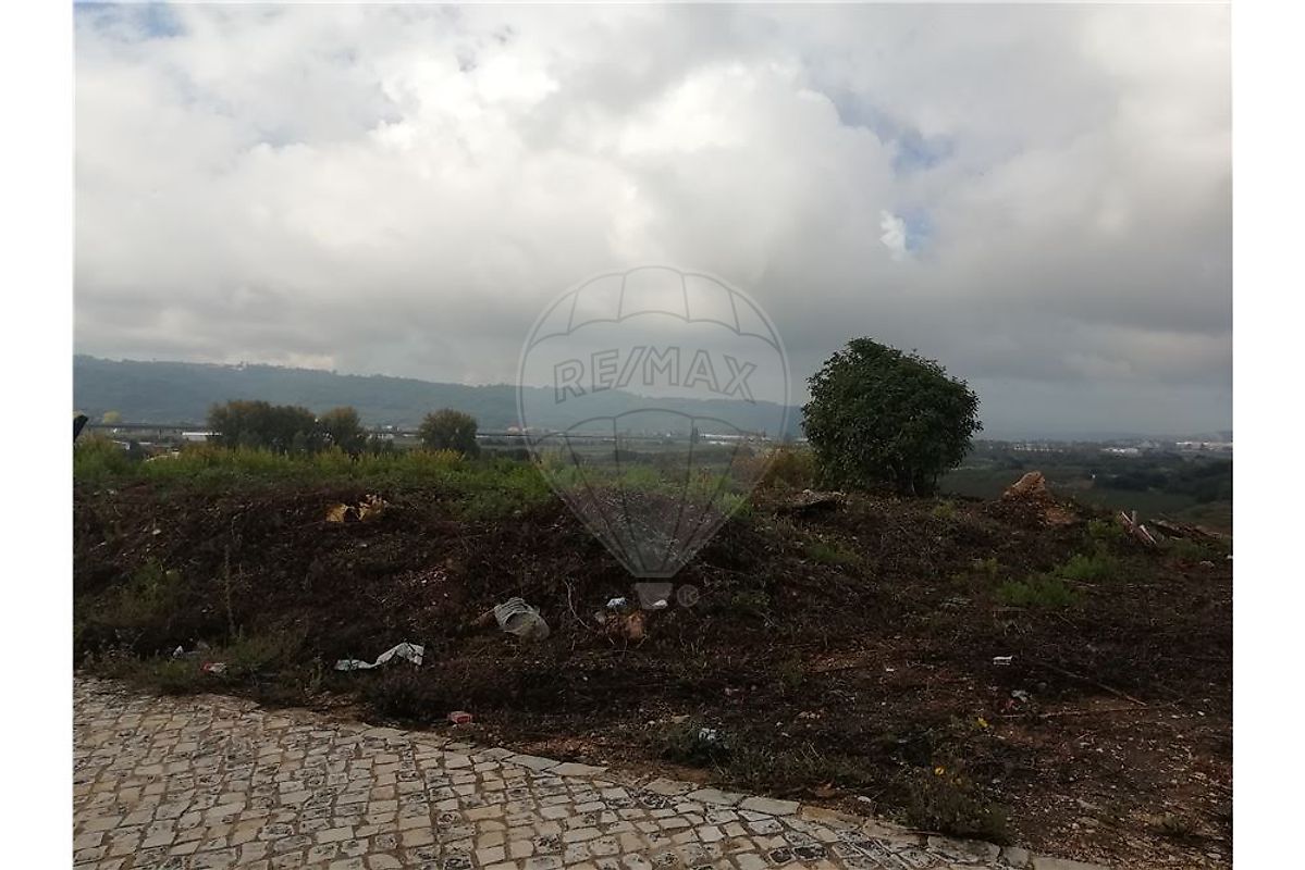 Terreno em Alcobaça
