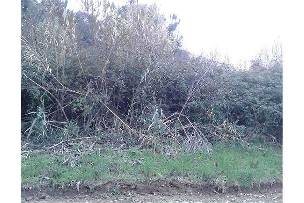 Terreno à venda em Porto de Mós