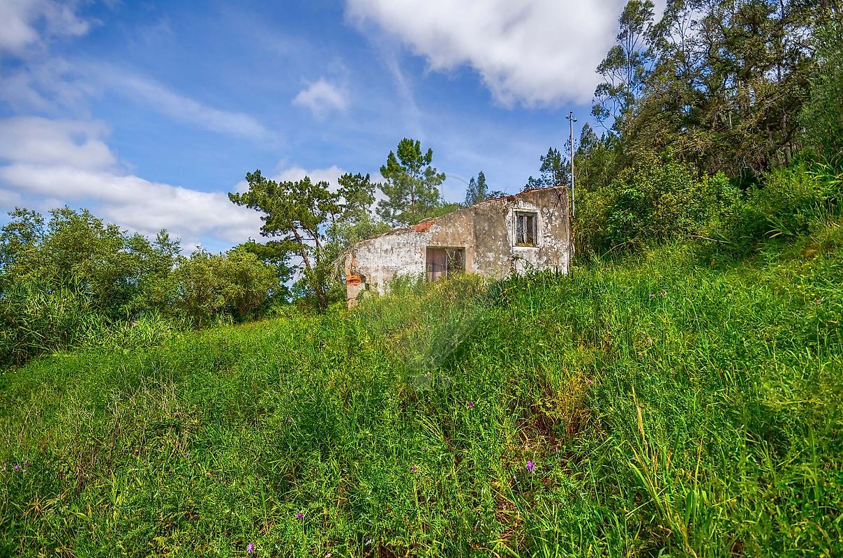 listing 121261115-106 picture-0