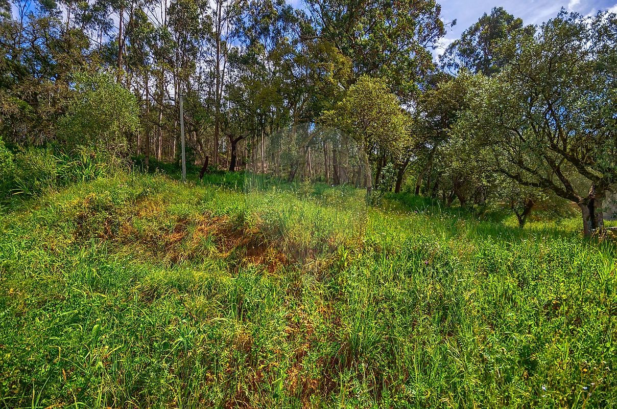 listing 121261115-106 picture-0