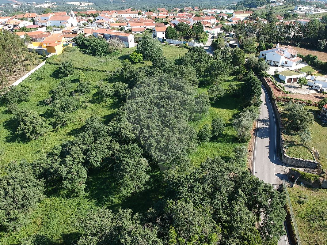 Terreno à venda em Alcobaça