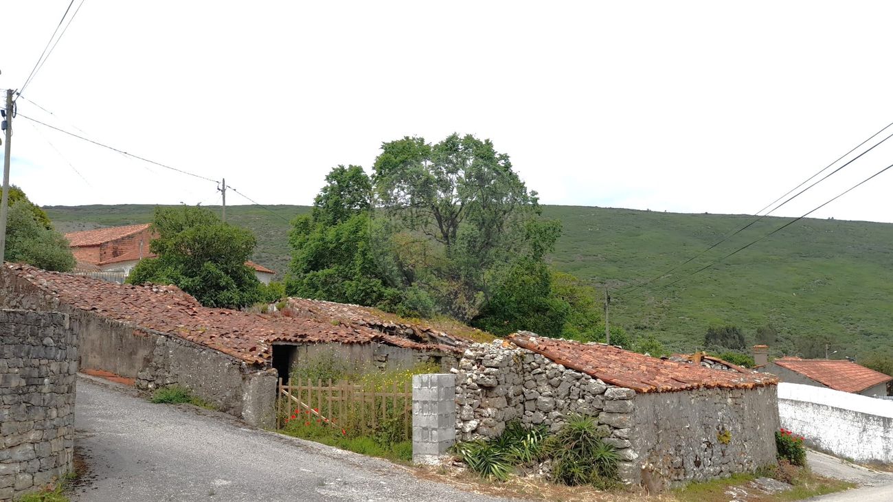 Moradia T0 para venda