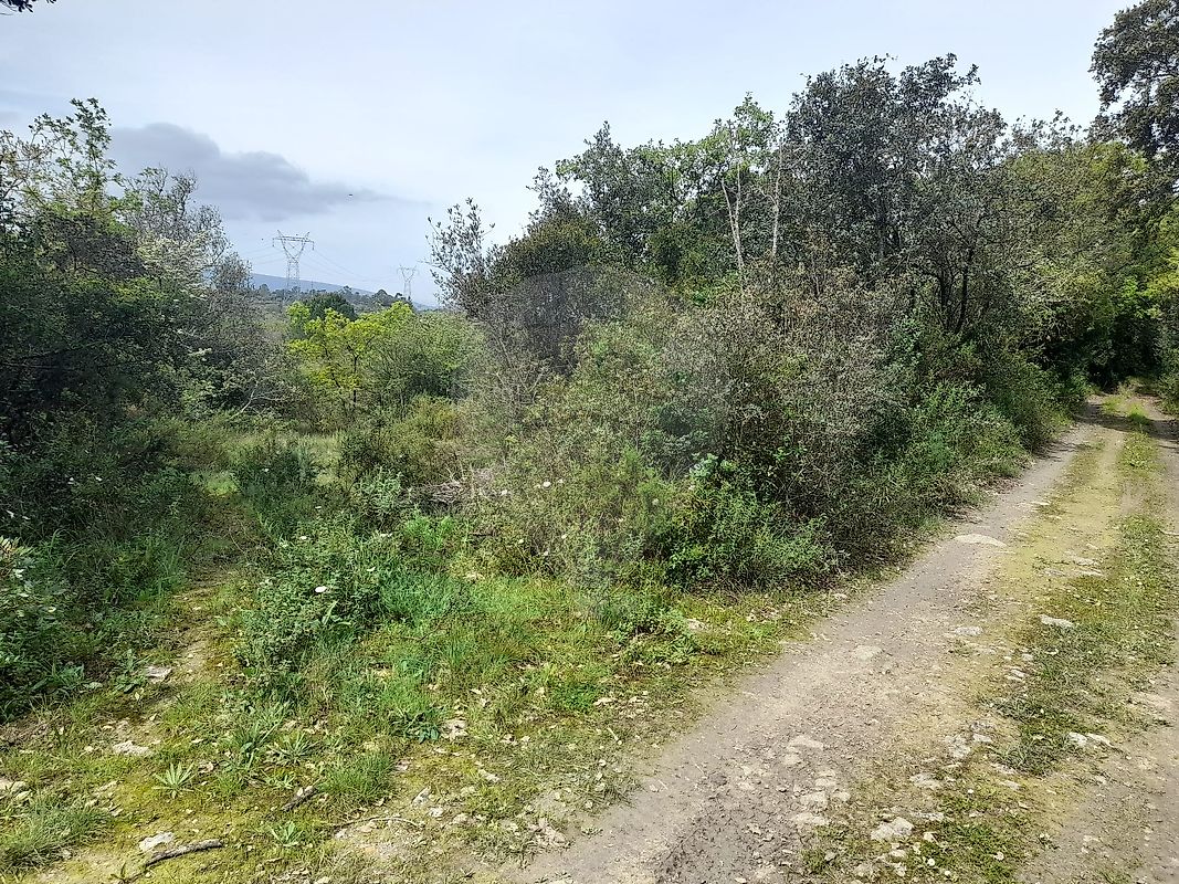 Terreno  à venda em Torres Novas